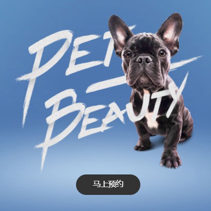 江北宠物中心小程序开发